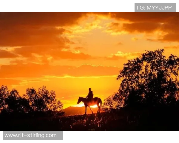 深度对话:赵伟在篮球场上的奋斗与梦想之旅 深度对话:赵伟在篮球场上的奋斗与梦想之旅